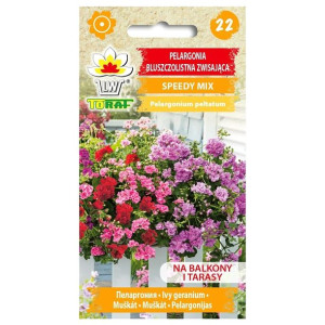Pelargonia zwisająca bluszczolistna Speedy MIX kolorów - nasiona 10szt - To