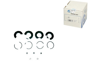Zacisk Hamulcowy Reperat.db 207d-310d 44 Perro Ert