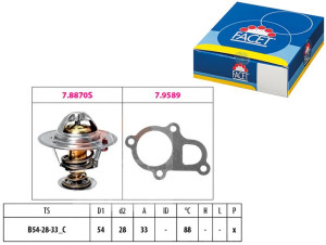 Termostat Kia Sorento Facet