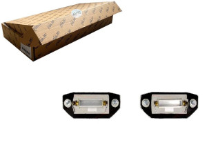 Lampa Oświetlenia Tablicy Rej. (zestaw Led) Ford M