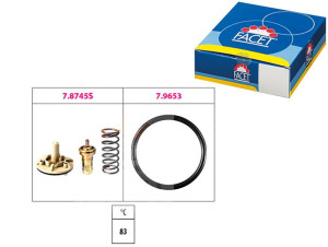 Termostat Facet 1880745 580745
