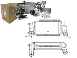 Intercooler Ford B-max Ecosport Fiesta Vi Tourneo