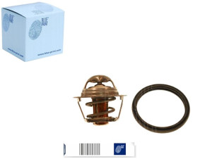 Termostat Daewoo Kalos 1,2 Blue Print
