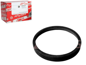 Pierścień Abs Citroen C2 C3 I C3 Pluriel Peugeot 1