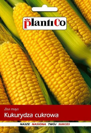 Kukurydza cukrowa nasiona Kukurydzy PlantiCo 10g