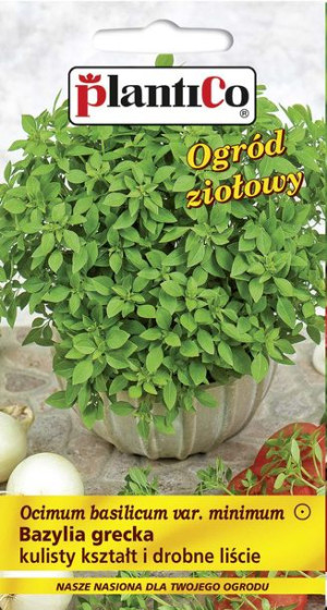 Bazylia grecka mini nasiona bazylii PlantiCo 0.5g