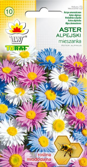 Aster alpejski mieszanka MIX nasiona Astra alpejskiego Toraf