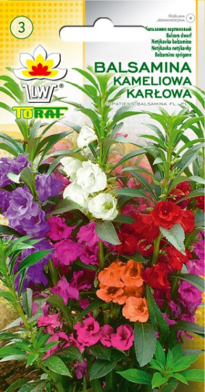 Balsamina Kameliowa karłowa MIX kolorów nasiona Balsaminy Kameliowej Toraf
