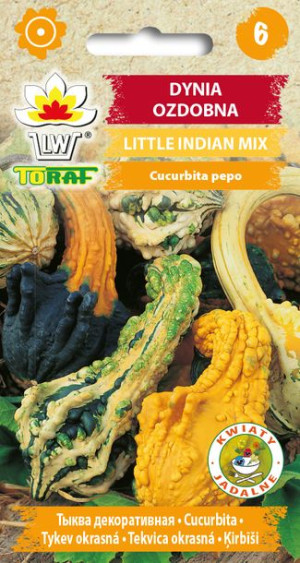 Dynia ozdobna Little Indian MIX nasiona Dyni ozdobnej Toraf