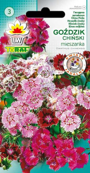 Goździk chiński mieszanka MIX kolorów nasiona Gożdzika chińskiego Toraf