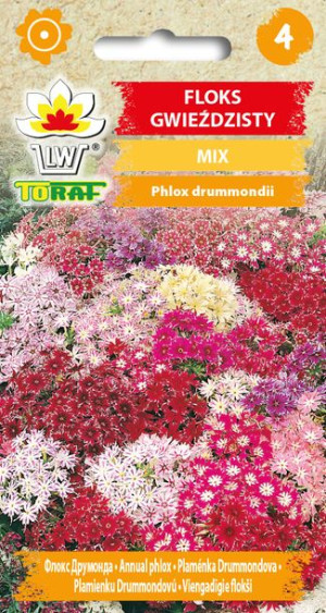 Floks Gwiaździsty mieszanka MIX kolorów nasiona Floska Gwieździstego Toraf