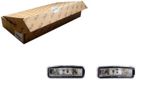 Lampa Oświetlenia Tablicy Rej. (led) Ford Focus 10
