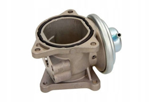 Zawór Egr Vw Maxgear