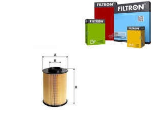 Filtr Powietrza Ford Filtron