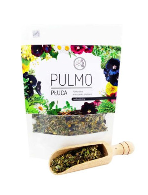 PULMO 100g PŁUCA Naturalne wsparcie ziołowe