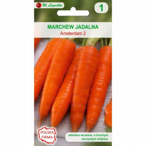 Marchew nasiona holenderskie Amsterdam 5g
