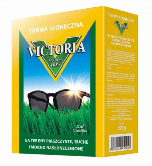 Trawa nasiona Victoria słoneczna na suche tereny 0.8kg