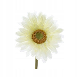 Gerbera kremowa sztuczna kwiat do wazonu 50 cm