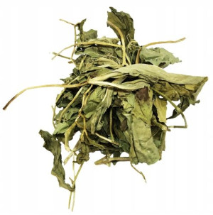 Bobrek Trójlistkowy Liść Bobrka 50 G Naturalny