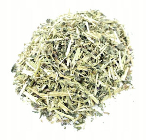 Kłosowiec Fenkułowy Ziele 1 Kg 100% Naturalny