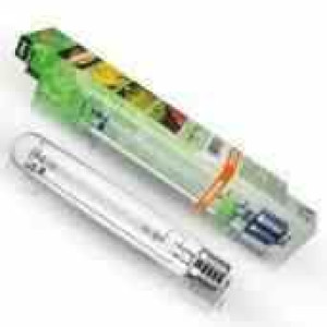 Lampa Hps Osram 250w Plantastar