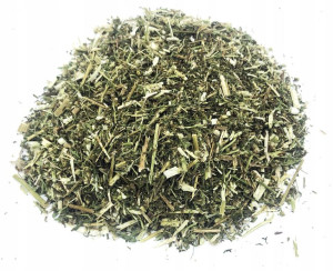 Bylica Roczna Ziele Bylicy Rocznej 50 G 100%