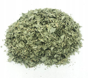 Liść Eukaliptusa Eukaliptus 1 Kg 100% Naturalny