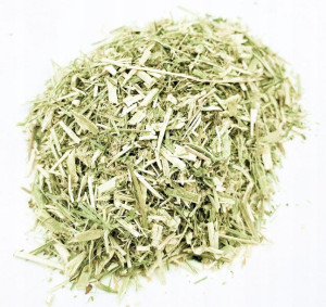 Nostrzyk Żółty Ziele Nostrzyka 50 G 100% Naturalny