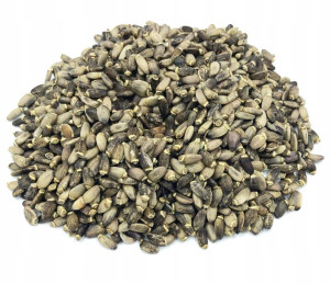 Ostropest Plamisty Ziarna Ostropestu 10 Kg 100%