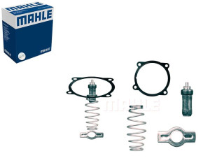 Termostat Mahle 504071087