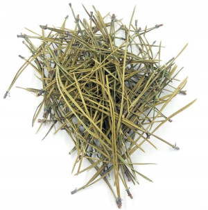 Sosnowe Igły Sosny 250 G 100% Naturalny