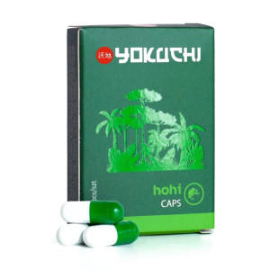 Kapsułki nawozowe terrarium Yokuchi Hohi Caps 10sz