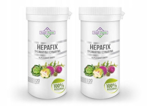 2X Hepafix Ostropest Karczoch sylimaryna 2x120 kap