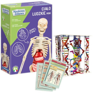 Clementoni Naukowa Zabawa Ciało Ludzkie Mini Dna