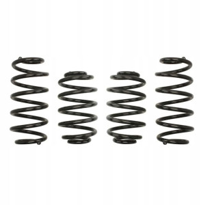 Sprężyny EIBACH PRO KIT VW Passat 3B/3B2