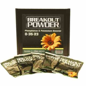 Aptus Breakout Powder 100g