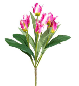 Tulipan fuksja bukiet