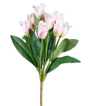 Tulipan kremowo różowy bukiet