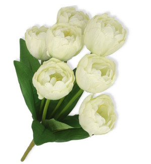 Tulipany bukiet kremowe peoniowe