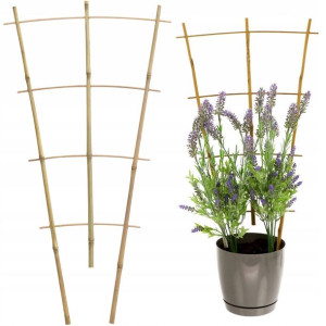 Drabinka Bambusowa Podpórka Do Roślin Kwiatów 60cm
