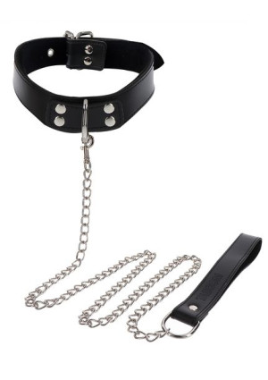 Elegant Collar and Chain Leash