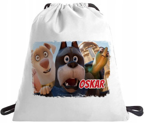 WOREK PLECAK DO SZKOŁY STRÓJ DC Liga Super-Pets Y5