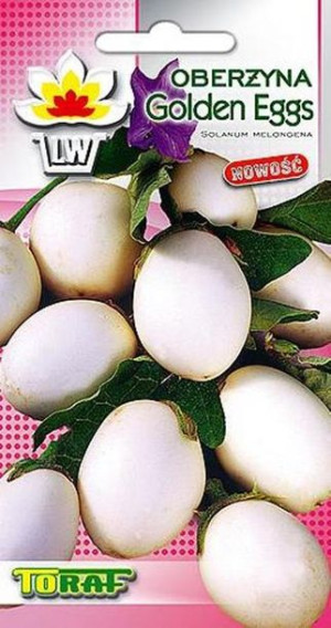 Oberżyna Golden Eggs doniczkowa nasiona Toraf 0.1g