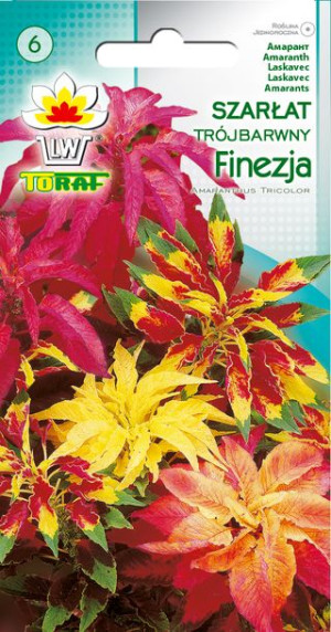 Szarłat trójbarwny Finezja nasiona Szarłatu trójbarwnego Toraf 0.2g