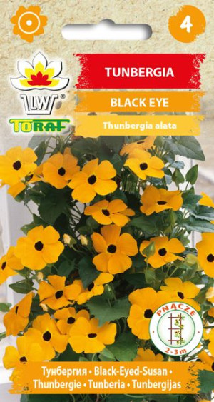 Tunbergia pomarańczowa Black Eye nasiona Tubnergii pomrańczowej Toraf 0.5g