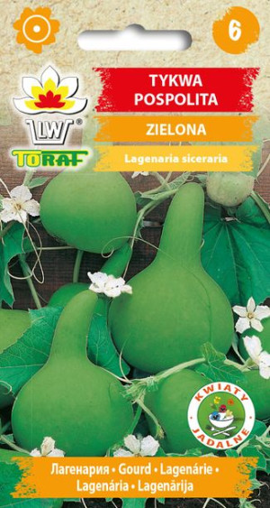 Tykwa zielona Pnącze nasiona Tykwy ozdobnej Toraf