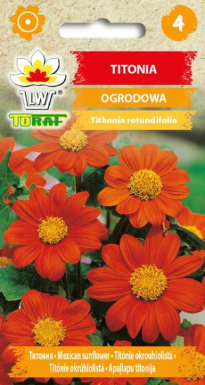 Titonia ogrodowa Pomarańczowa nasiona Toraf 1g