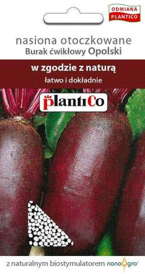 Burak Opolski podłużny nasiona Buraka Opolskiego otoczkowane Plantico