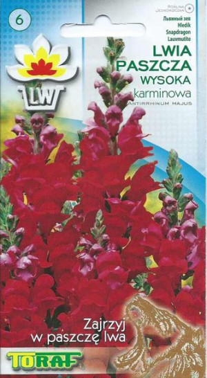 Lwia paszcza wysoka karminowa czerwona nasiona Lwiej Paszczy 0,5g Toraf