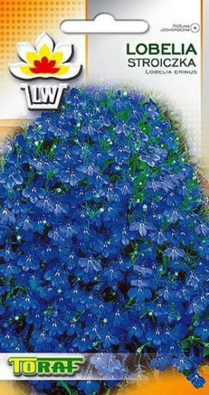 Lobelia stroiczka niebieska nasiona Lobelii Stroiczki Toraf 0.1g